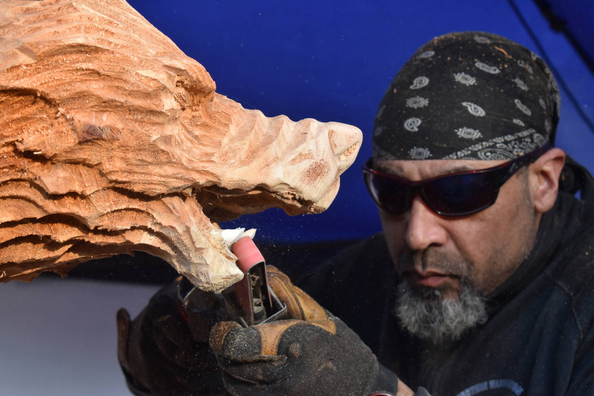 Anthony Robinson files the tooth of a wooden wolf on Feb. 16. (Clayton Franke / The Daily World)