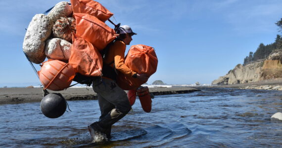 Clayton Franke / The Daily World
Kyle Deerkop, farm operations manager with Pacific Shellfish, crosses a creek hauling pounds of marine debris collected from a beach on the Quinault Indian Reservation.