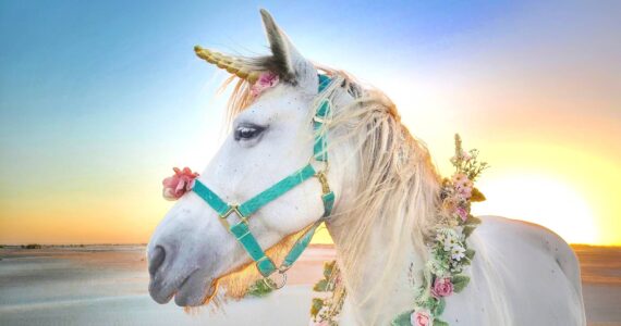 International Mermaid Museum
Meet a unicorn this Saturday at the International Mermaid Museum Festival — 1 S. Arbor Rd., in Aberdeen. Unicorns Sky and Blue will be at the festival with their handler Crystal. According to Kim Roberts, who runs the festival, the unicorns can’t wait to meet and be photographed with people of all ages.