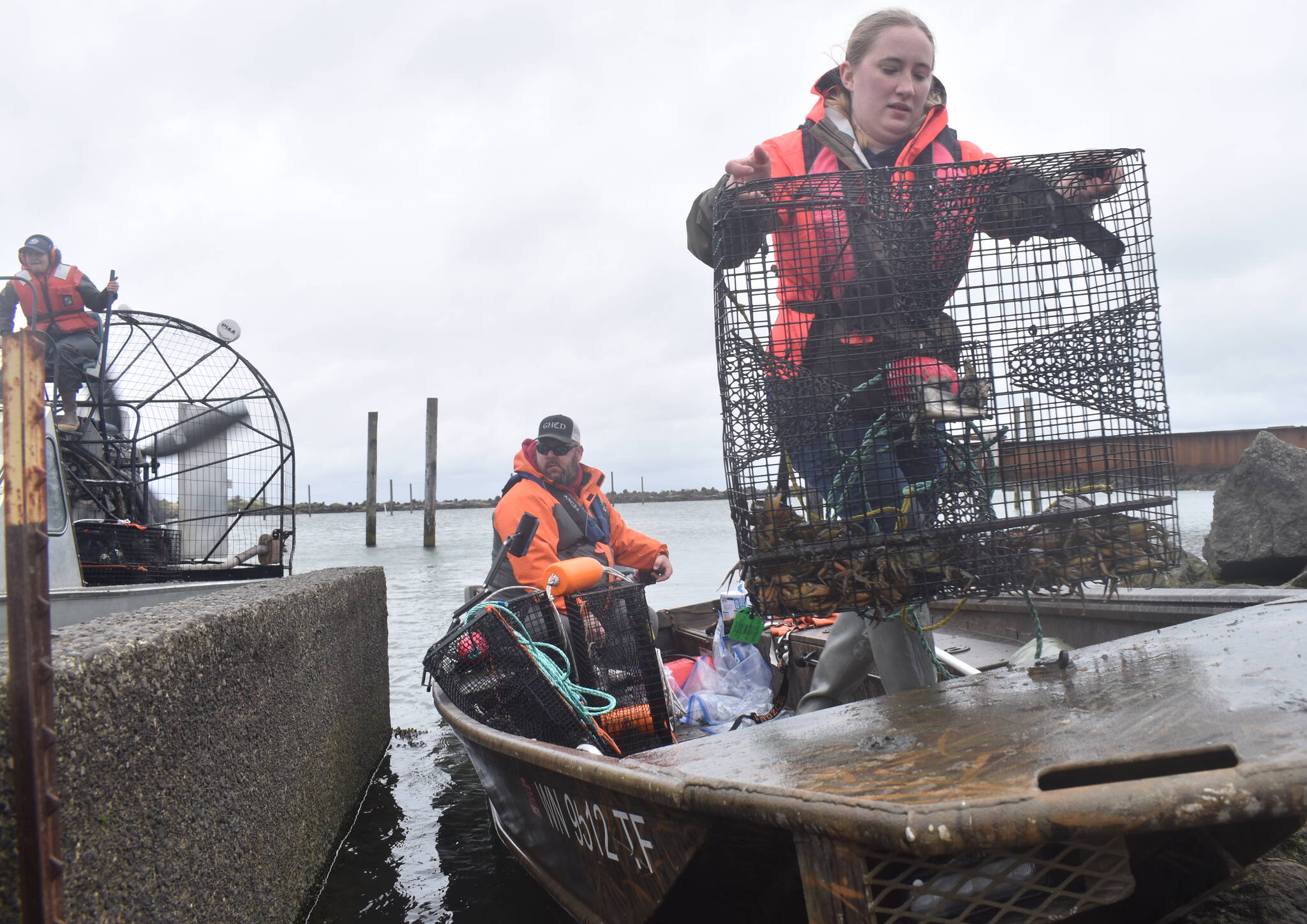 Olivia Britain, right, a green crab crew member with the Grays Harbor Conservation District, offloads a trap carrying invasive green crab at the Quinault Marina in Ocean Shores on April 11. The conservation district, along with two state agencies, combined to pull more than 2,100 of the harmful crab from the marina last week. (Clayton Franke / The Daily World)