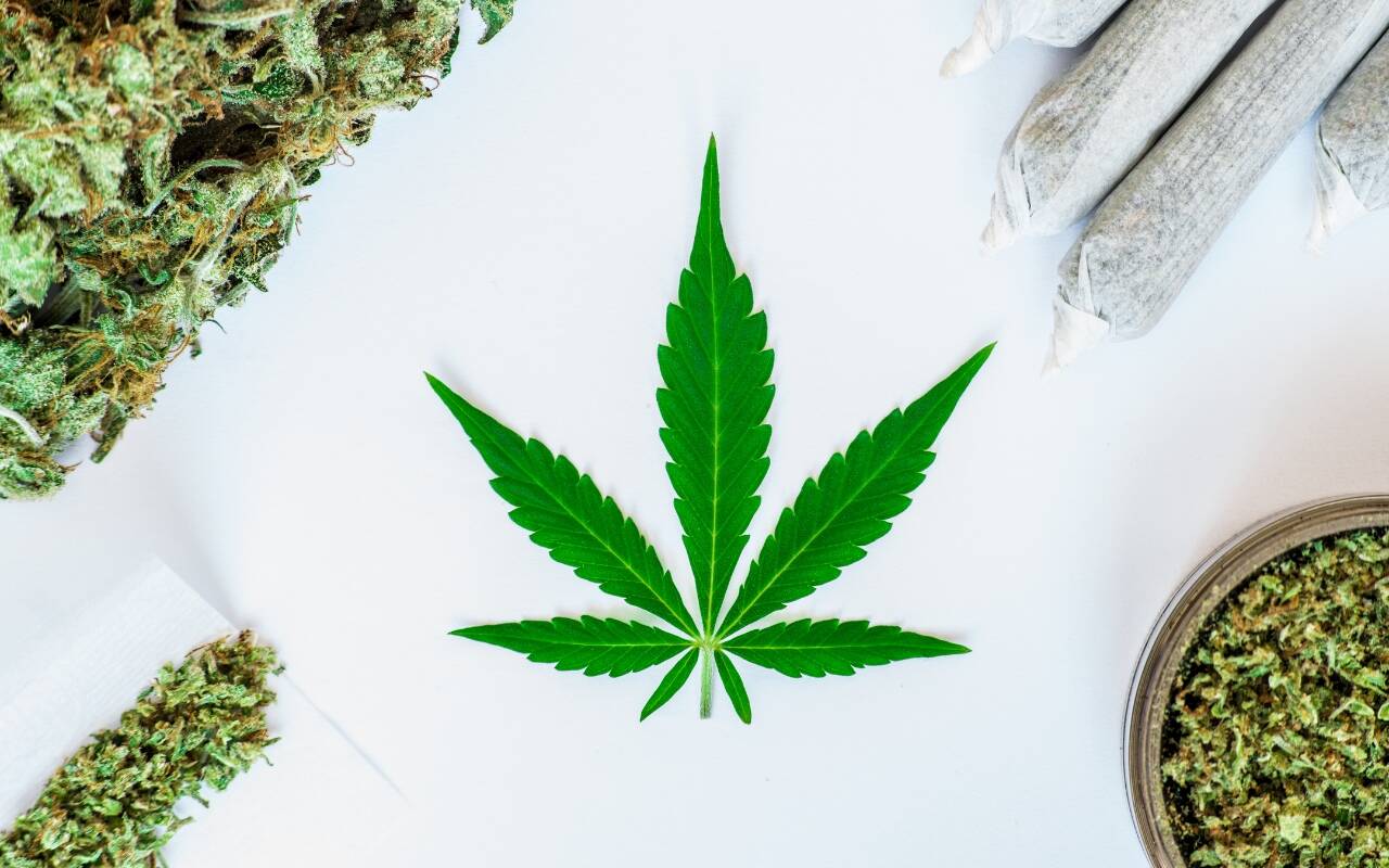 How Long Does Weed Stay in Your System? (Latest Research) The Daily World