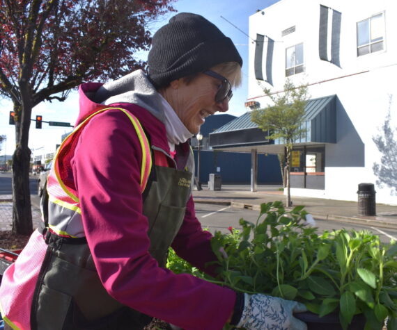 <p>Matthew N. Wells / The Daily World</p>
                                <p>Bette Worth, who helped start Aberdeen Bloom Team in 2014, was planting again on North Broadway Street Wednesday morning as part of the volunteer team’s efforts to beautify Aberdeen. Worth and her fellow volunteers spoke about what they love about their work.</p>