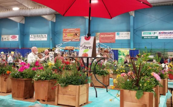 Master Gardeners of Grays Harbor and Pacific Counties
On Saturday, May 18 (9 a.m. to 5 p.m.) and Sunday, May 18 (9 a.m. to 4 p.m.), the Master Gardeners will be putting on their 25th Annual Home and Garden Show at the Grays Harbor Fairgrounds in Elma.