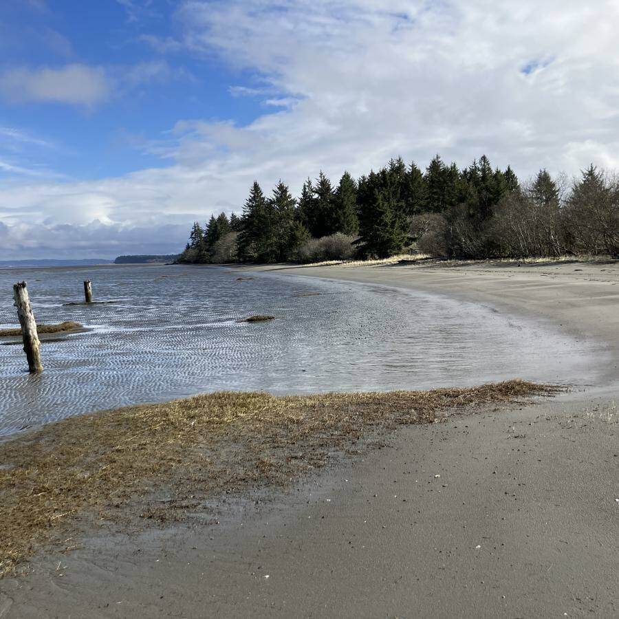 Washington State Parks
Bottle Beach State Park will cost a bit more to park and explore as a Discover Pass is now $45.