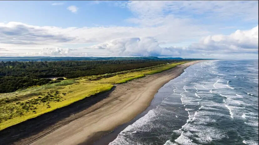 Troon
The site of the proposed Westport Golf Links.