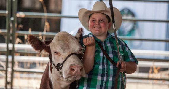 Kids and their livestock are at the center of the Pacific County Fair.