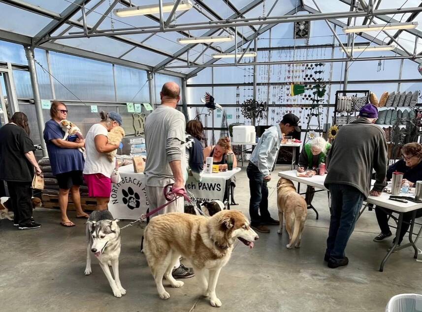 North Beach PAWS
A 2024 North Beach PAWS vaccination clinic at Buck Electric Ace Hardware. North Beach PAWS will host a low-cost vaccination clinic for dogs and cats Saturday, Aug. 16 at La Vogue Cyclery located at 523 Levee Street in Hoquiam from 11 a.m. to 3 p.m.