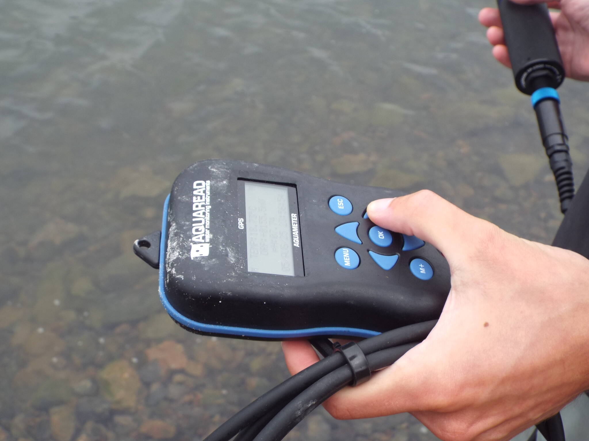 With the Aquameter probe, Miles Heisel measured temperature and pH, nitrate concentration, chlorophyll concentration, salinity, and dissolved oxygen.