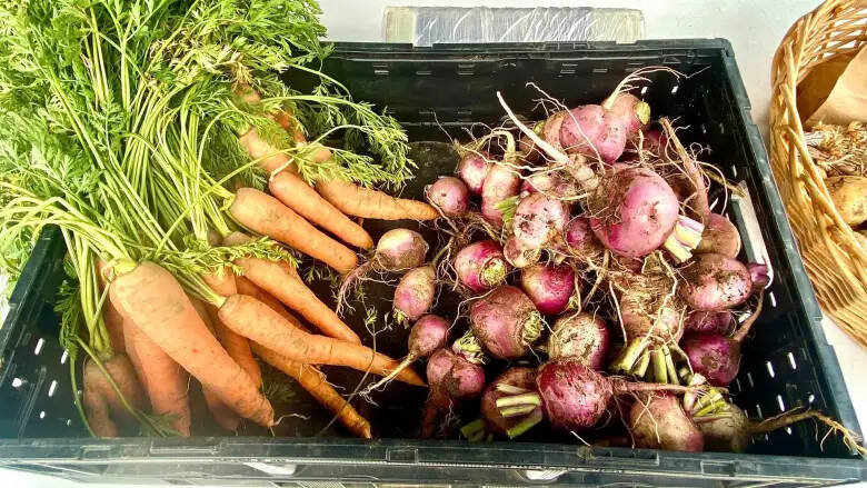 Photo by Barbara Weza
Produce grown on Harbor Roots Farm.