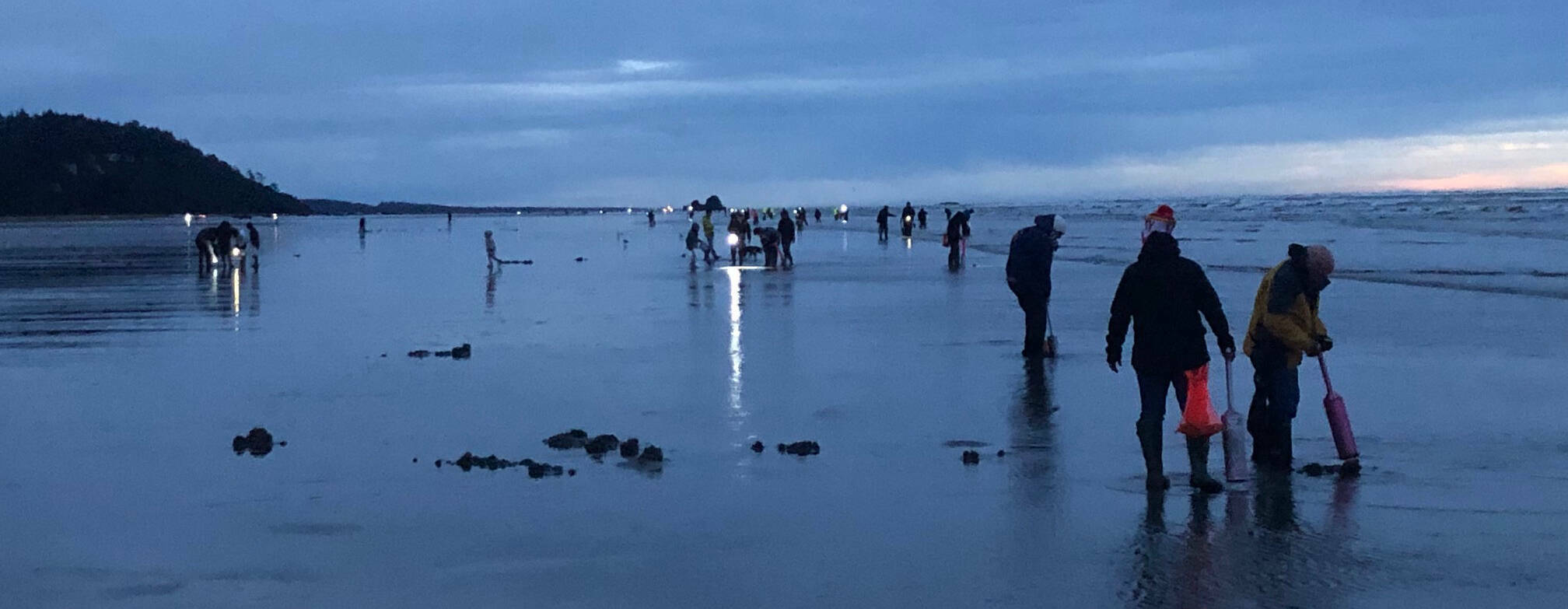 Michael Wagar / The Daily World
An evening razor clam dig last fall at Roosevelt Beach.