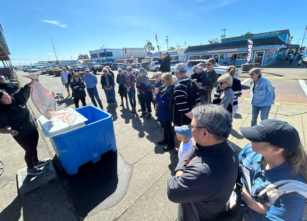 Port of Grays Harbor
The Westport Marina is offering walking tours of its unique working waterfront on Thursday, Sept. 25 and Saturday, Sept. 27.