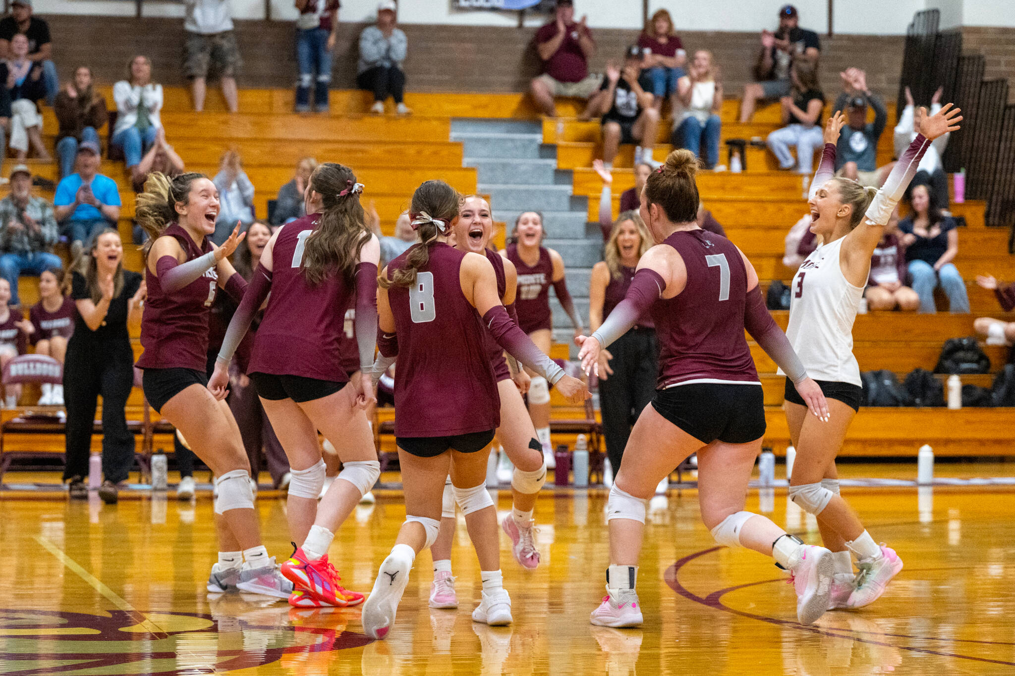 PHOTO BY FOREST WORGUM The Montesano Bulldogs celebrate a point during a win over Black Hills on Monday at Montesano High School.
