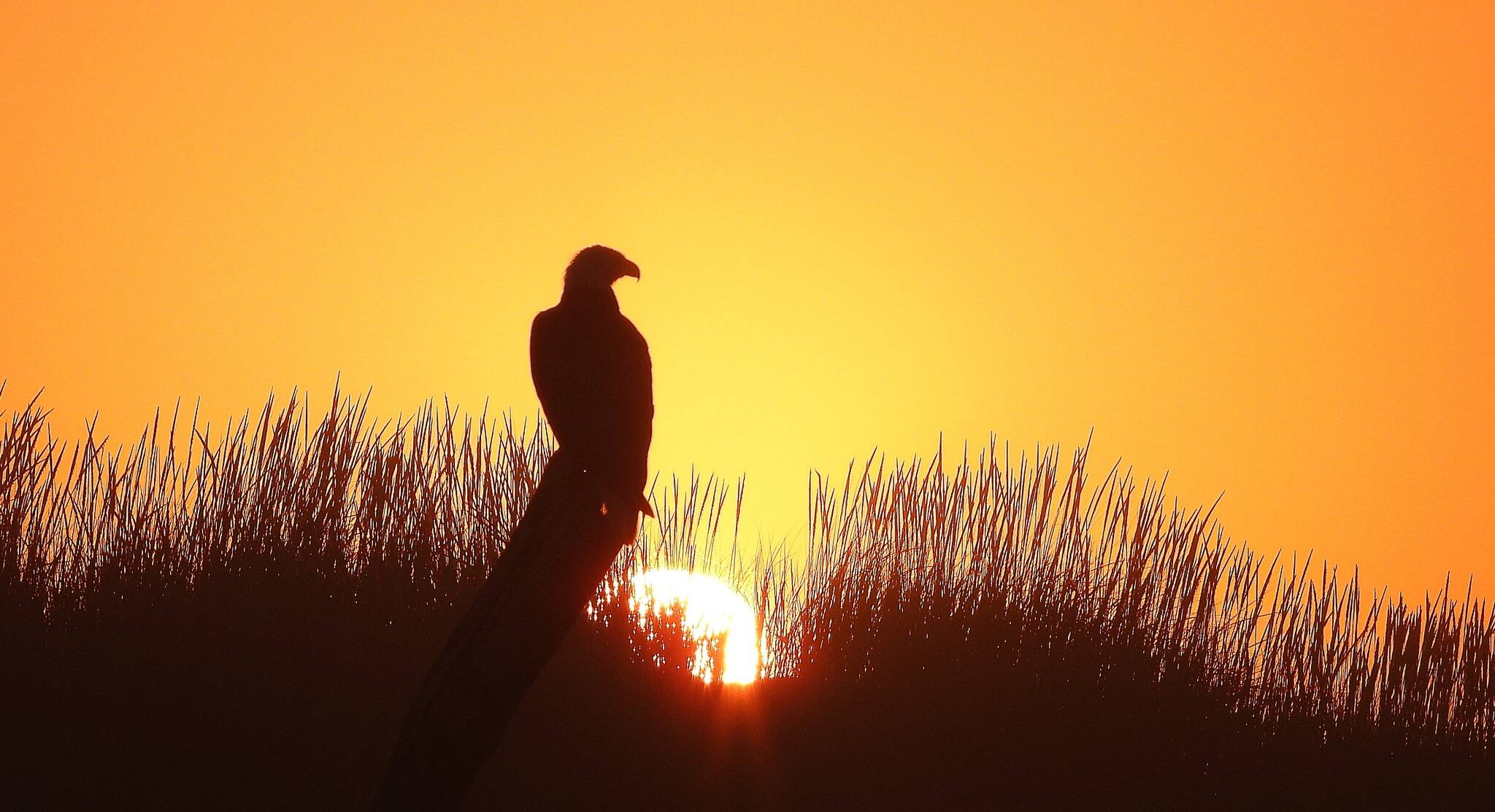 Skip Radcliffe
Summer sunsets such as this one in Ocean Shores will be replaced in the coming months with rain, snow and grayness.
