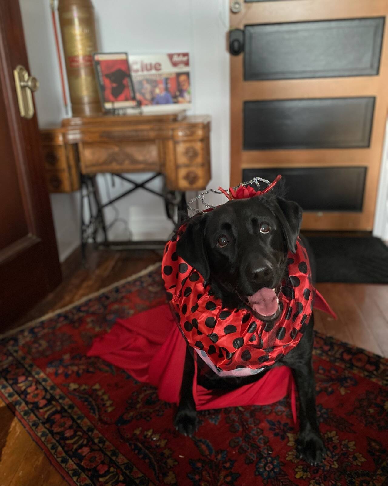 PAWS of Grays Harbor
You can make your pet a star at the PAWS of Grays Harbor CLUE Live Action Game Night.