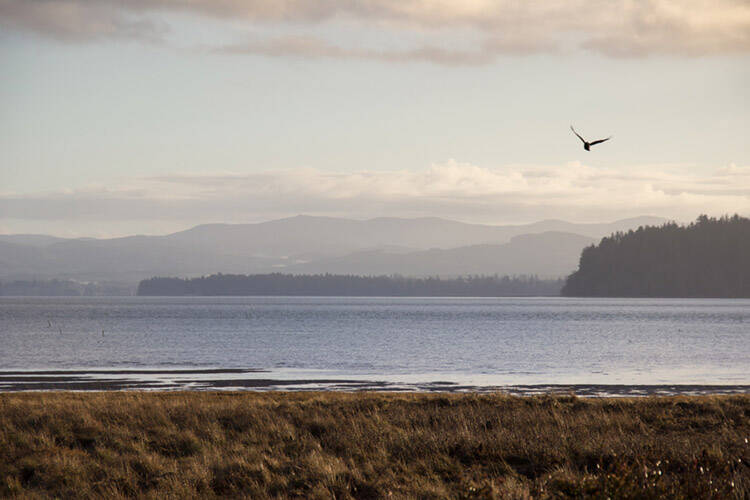 Dan Coe / DNR
Willapa Bay with the Willapa Hills in the distance.