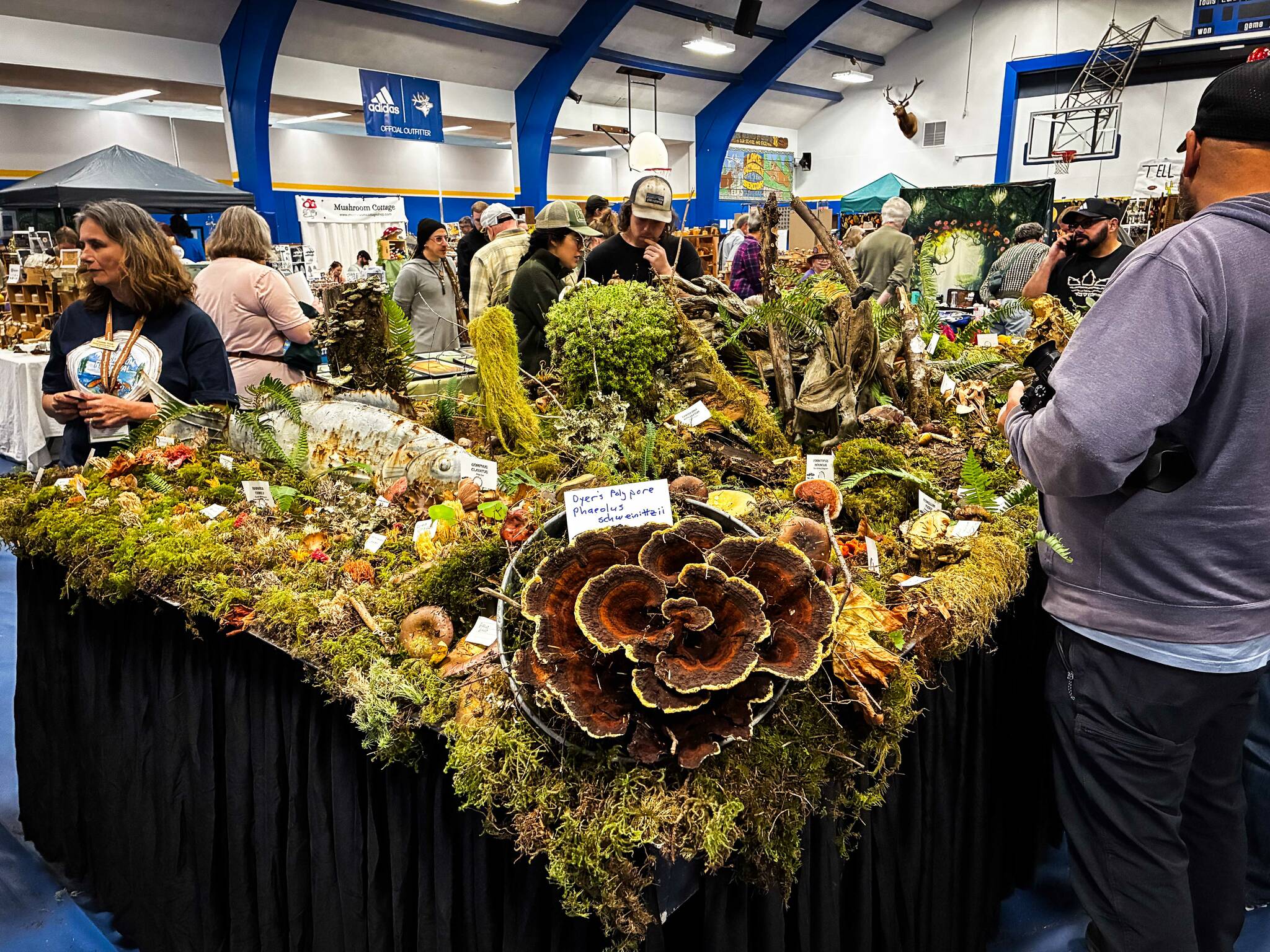 An educational mushroom display.