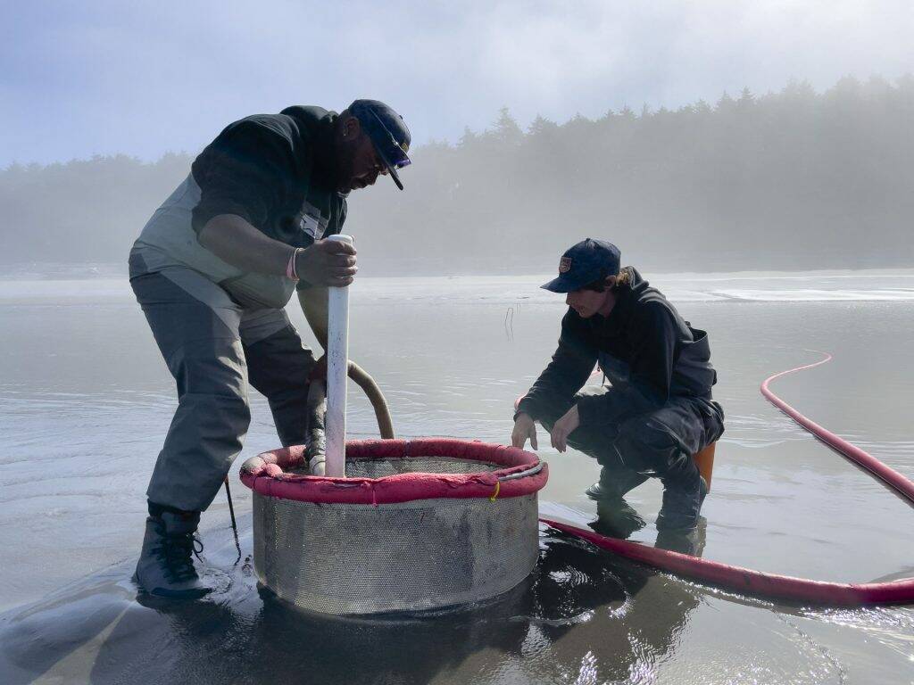 Trevor Pyle
Nick Schuldt (right), a fisheries technician with the Quinault Indian Nation, and Philip Riebe, a Hoh staff member, liquefy Kalaloch Beach sand as part of the annual razor clam survey.