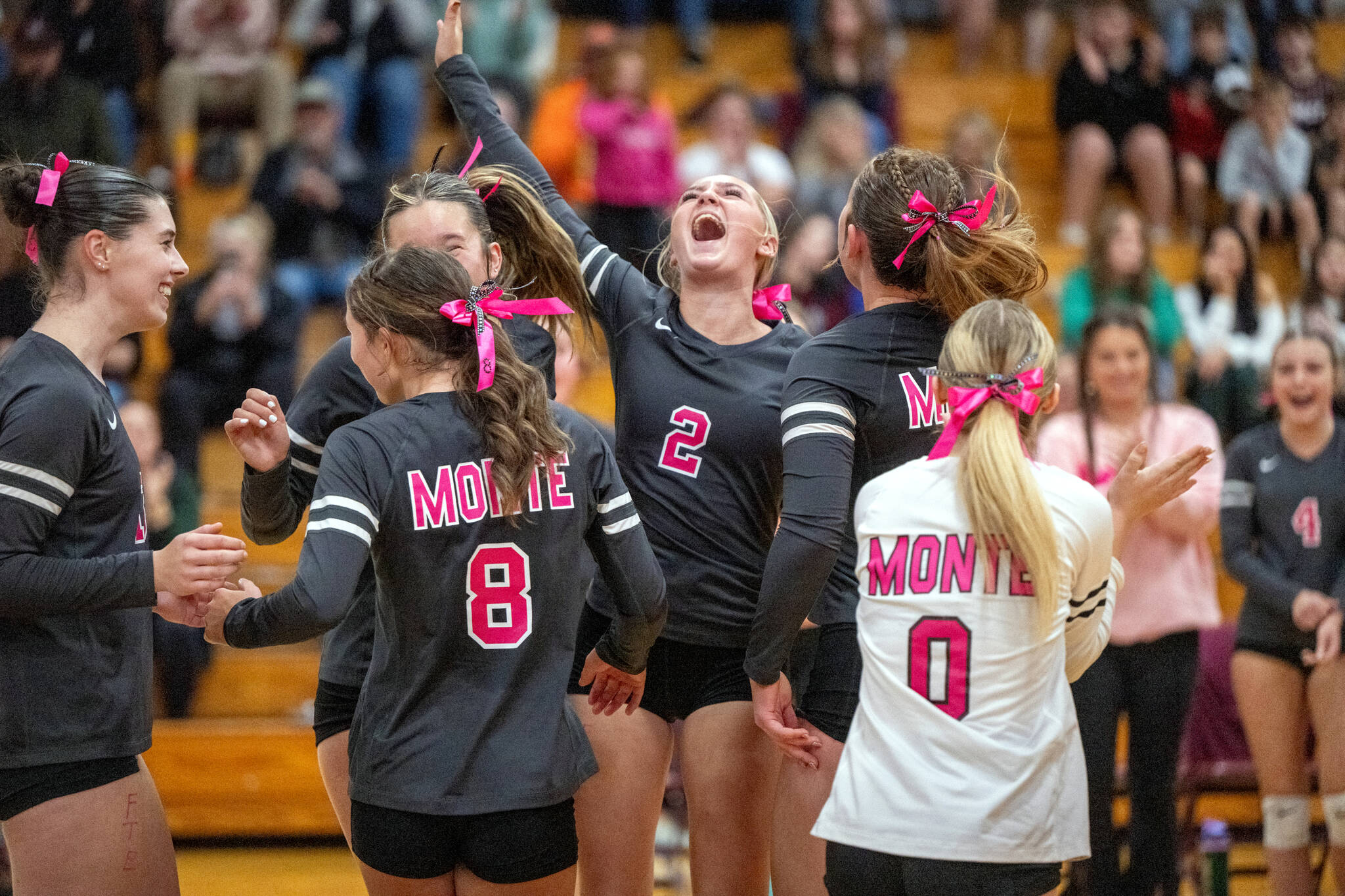 PHOTO BY FOREST WORGUM 
Montesano’s Jordyn Wade (2) celebrates with her teammates after a point during a victory over Hoquiam on Thursday at Bo Griffith Memorial Gymnasium in Montesano.