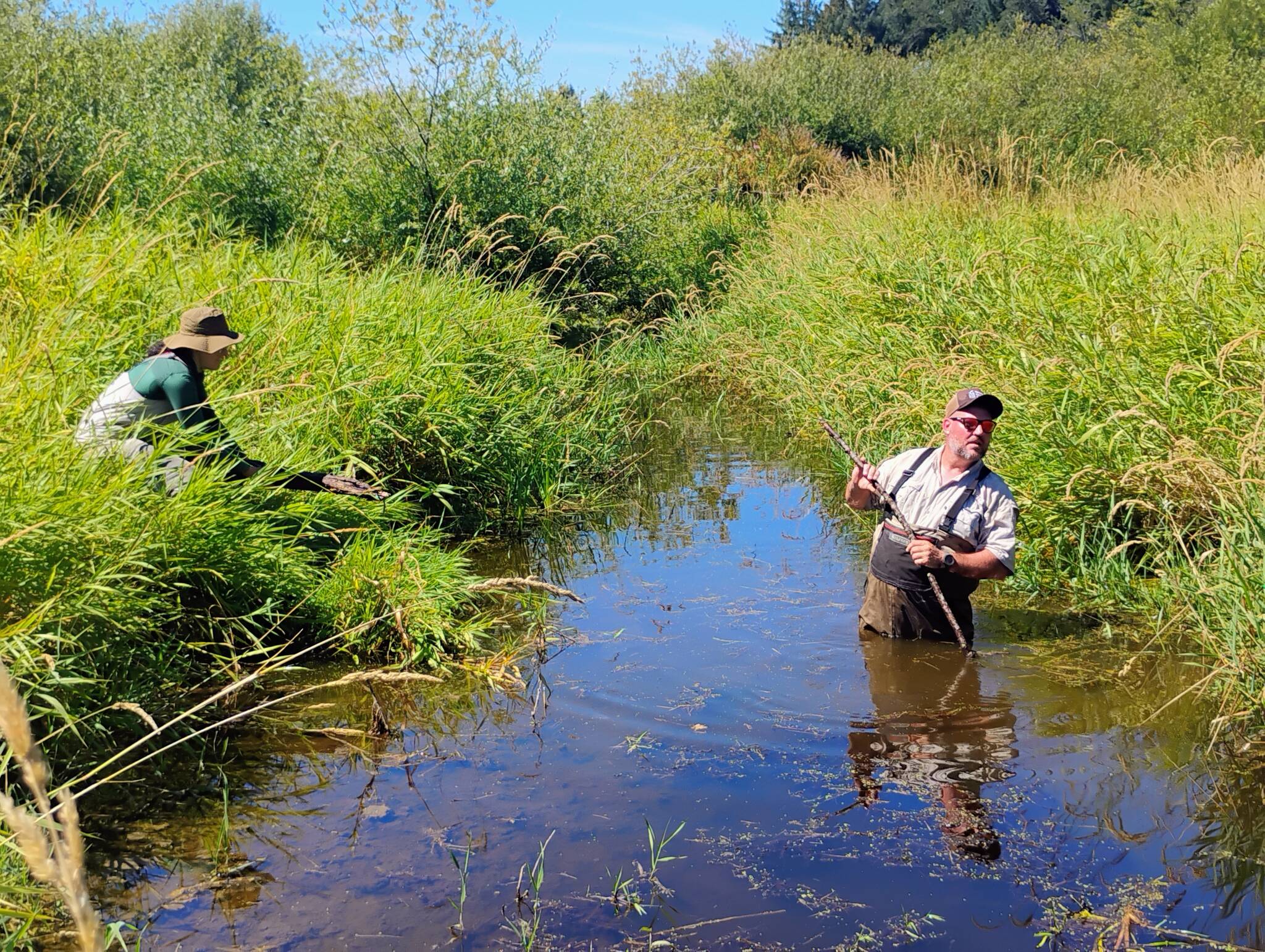 Melissa Habenicht / Ecostudies Institute
When Aberdeen-resident Jason Wintersteen joined the Veterans Conservation Corps earlier this year, he was placed with Olympia-based nonprofit Ecostudies Institute.