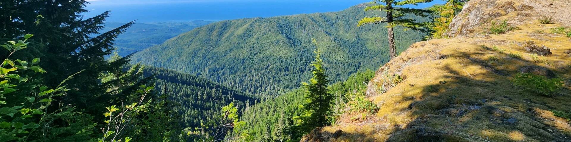 Forest Service
Olympic National Forest