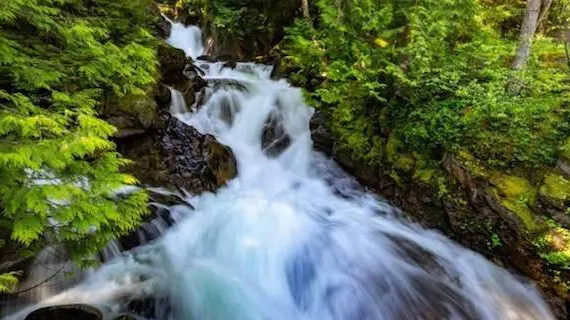 File photo
Forest landowners and the wood-products are mounting a last-ditch effort to persuade the Washington Forest Practices Board to not adopt what they say would be a massive taking of private property.