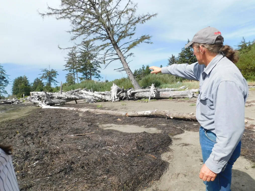 Contributed photo
David Cottrell, a third-generation cranberry farmer and commissioner for Pacific County Drainage District No. 1, describes how logs have been placed on the north shore of Willapa Bay as part of a nature-based approach to reduce wave energy and protect the drainage ditch. Cottrell has since passed away.