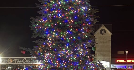 Jerry Knaak photos / The Daily World
The Ocean Shores Christmas tree in all its lighted glory.