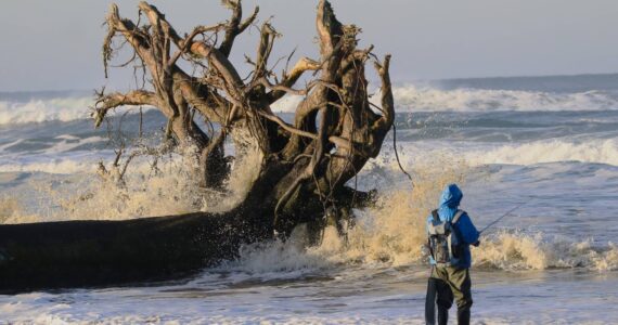 Cliff Radcliffe
Expect stormy weather in the coming week. A perch surf fisherman tries his luck along the Pacific Ocean at Ocean Shores this past week.
