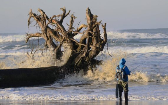 Cliff Radcliffe
Expect stormy weather in the coming week. A perch surf fisherman tries his luck along the Pacific Ocean at Ocean Shores this past week.
