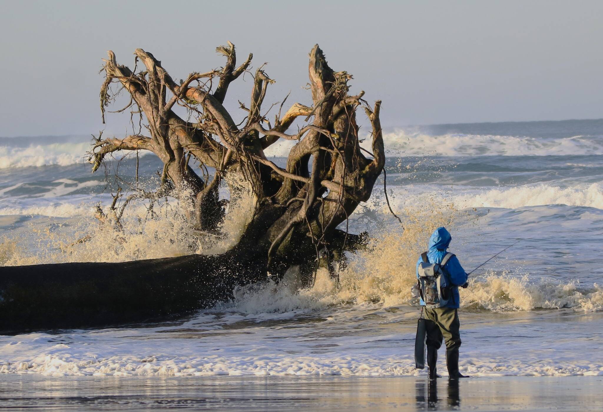 Cliff Radcliffe
Expect stormy weather in the coming week. A perch surf fisherman tries his luck along the Pacific Ocean at Ocean Shores this past week.