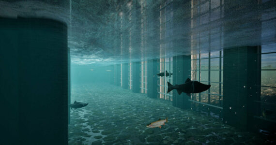 The image is from a video that comes as progress continues on plans for the redesigned structure
Salmon pass below a flow-through dam on the Chehalis River near Pe Ell in this digital rendering provided by the Chehalis River Basin Flood Control Zone District.