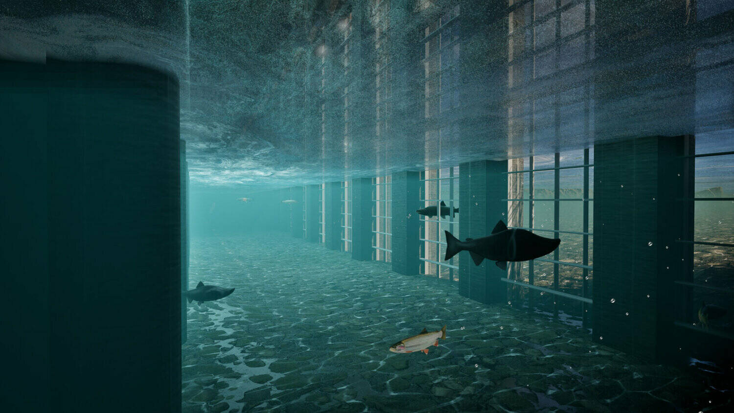 The image is from a video that comes as progress continues on plans for the redesigned structure
Salmon pass below a flow-through dam on the Chehalis River near Pe Ell in this digital rendering provided by the Chehalis River Basin Flood Control Zone District.