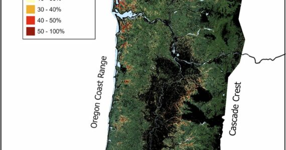 Global Change Biology
The 2021 Heat Dome resulted in trees exhibiting scorched leaves throughout the Pacific Northwest. A combination of factors, such as aspect, microclimate, tree species, and timing of bud burst, determined the degree to which trees were scorched.