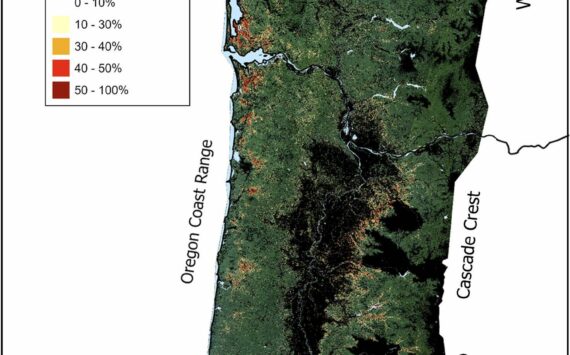 Global Change Biology
The 2021 Heat Dome resulted in trees exhibiting scorched leaves throughout the Pacific Northwest. A combination of factors, such as aspect, microclimate, tree species, and timing of bud burst, determined the degree to which trees were scorched.