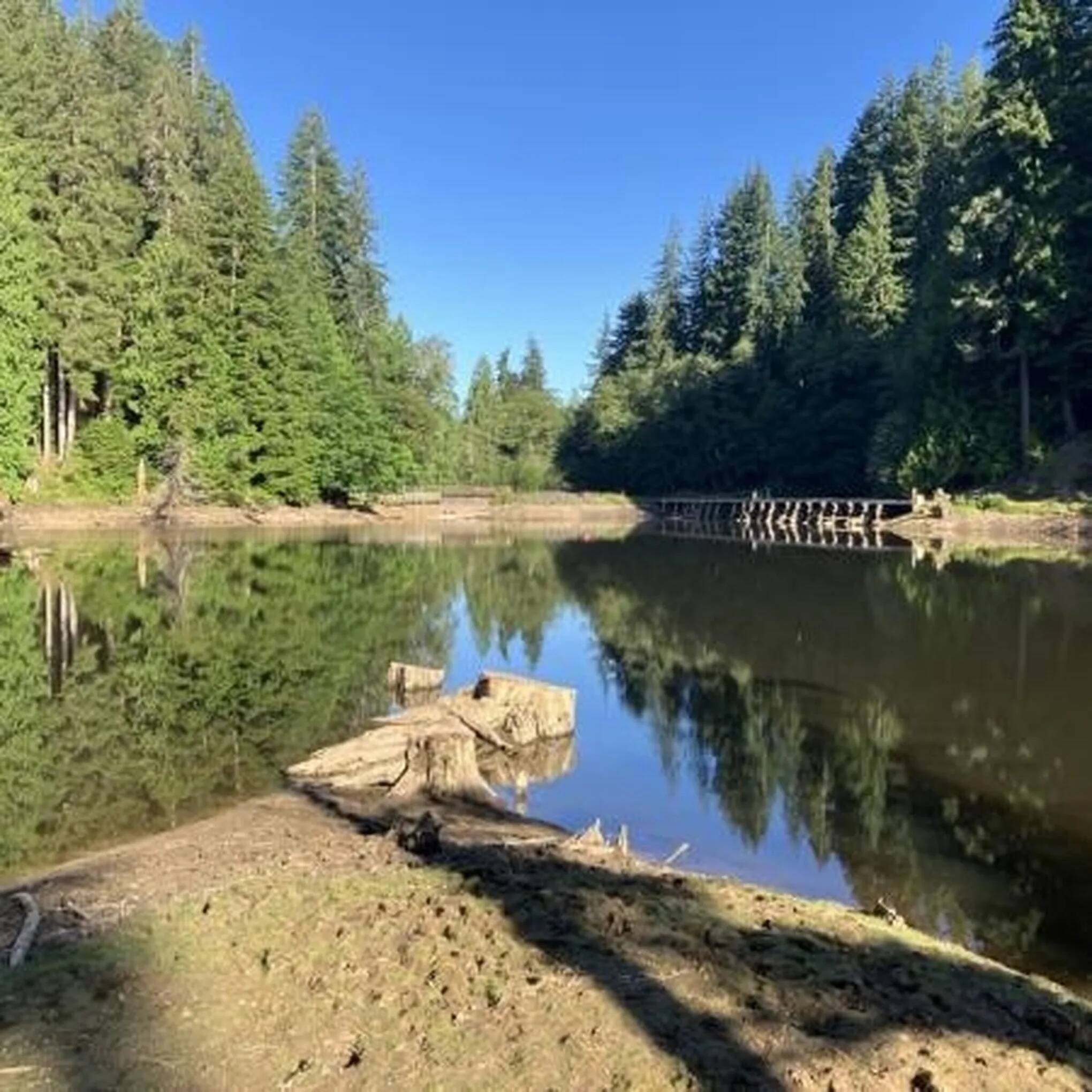 Washington State Parks
The Grays Harbor County Board of County Commissioners declared an emergency due to excessive rainfall impacts, including widespread flooding, erosion, landslides and threats to public infrastructure, including the dam at Lake Sylvia.