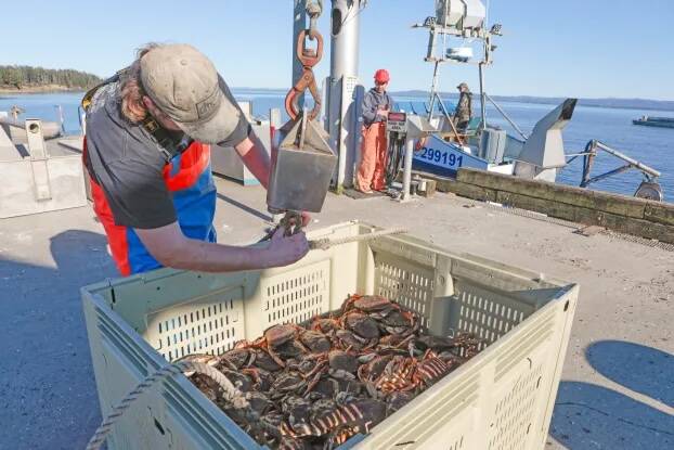 Willapa Bay blues | The Daily World