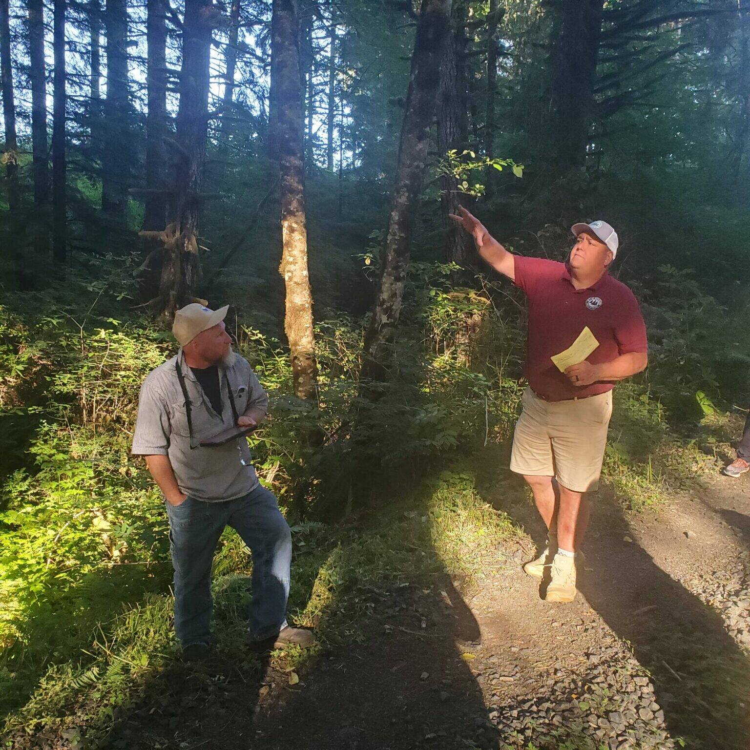 The Daily World file photo
On Montesanos City Forest, 22 acres is in riparian buffers. City Forester John Bull, pictured at right, manages the riparian buffers. A proposed buffer change on non-fish bearing waters was passed by the Forest Practices Board. Bull has calculated the economic impact of this proposed change, and it could be up to $100,000 loss in revenue.