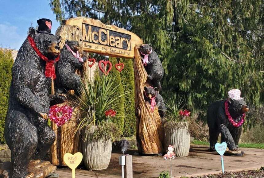 <p>Andrea Watts / The Daily World</p>
                                <p>The McCleary Bears are dressed up for Valentine&rsquo;s Day.</p>