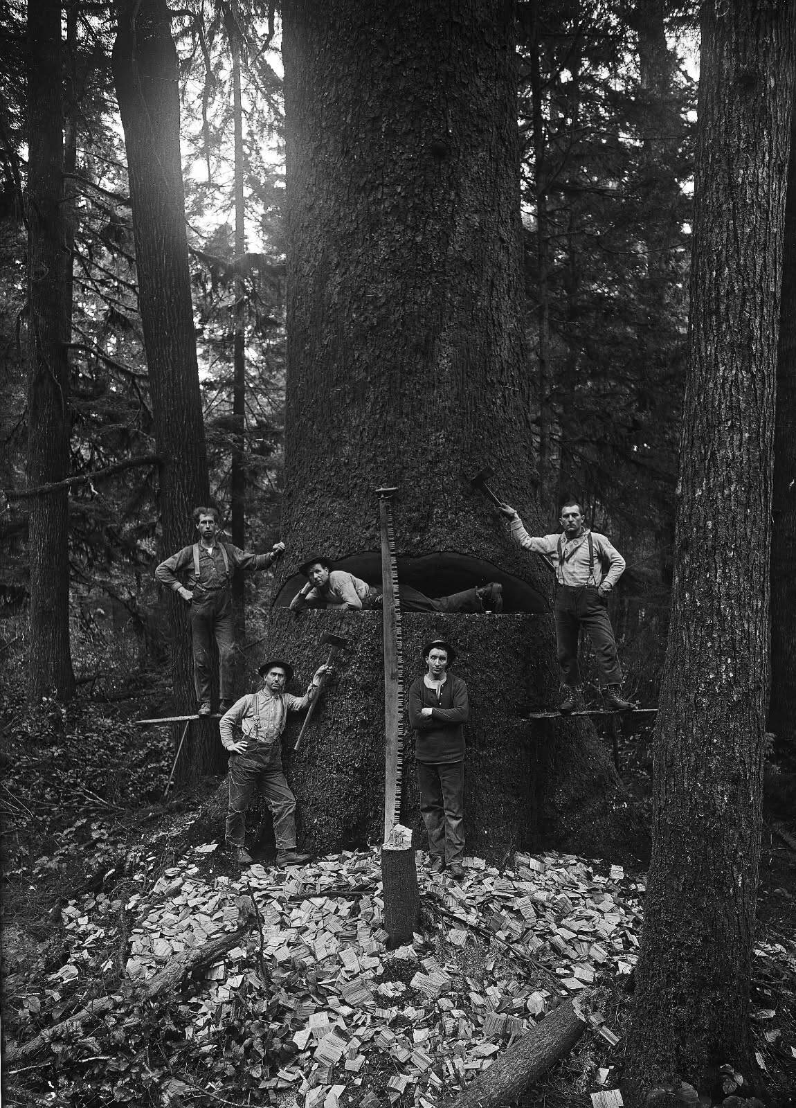 Jones Photo Historical Collection