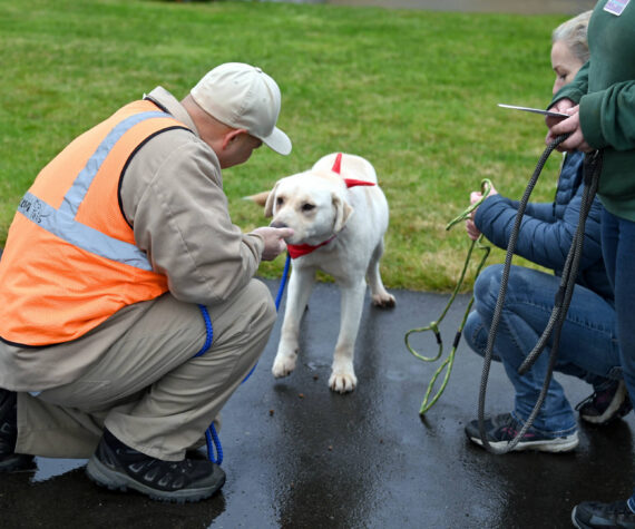 <p>Department of Corrections photos</p>
                                <p>Volunteers from Timber Tails K9 rescue watch as Benny, a yellow labrador, sniffs the palm of his new incarcerated handler at Stafford Creek Corrections Center.</p>