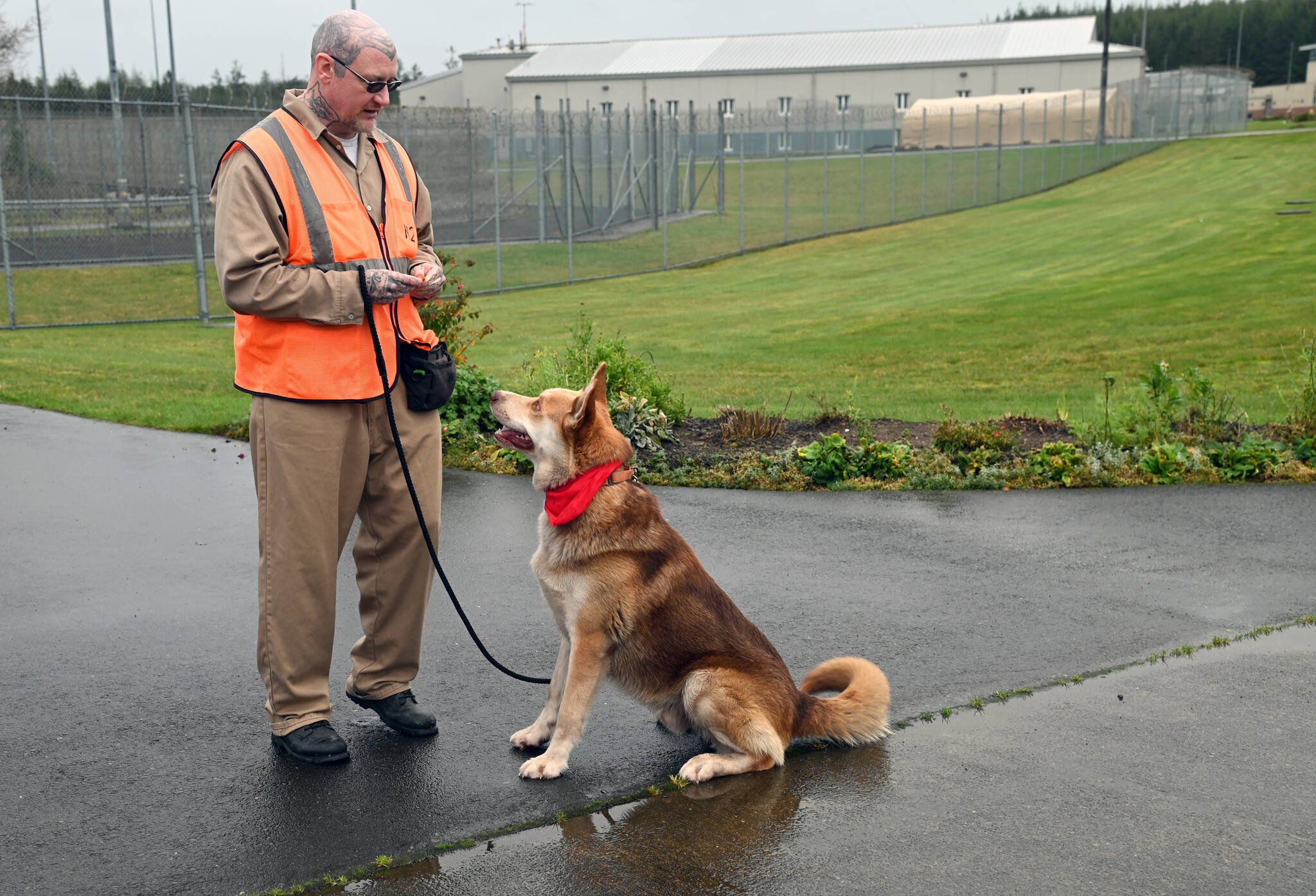Incarcerated individual Gordon Pete Stacy holds a dog treat, while Cyrus, a husky mix, sits eagerly.