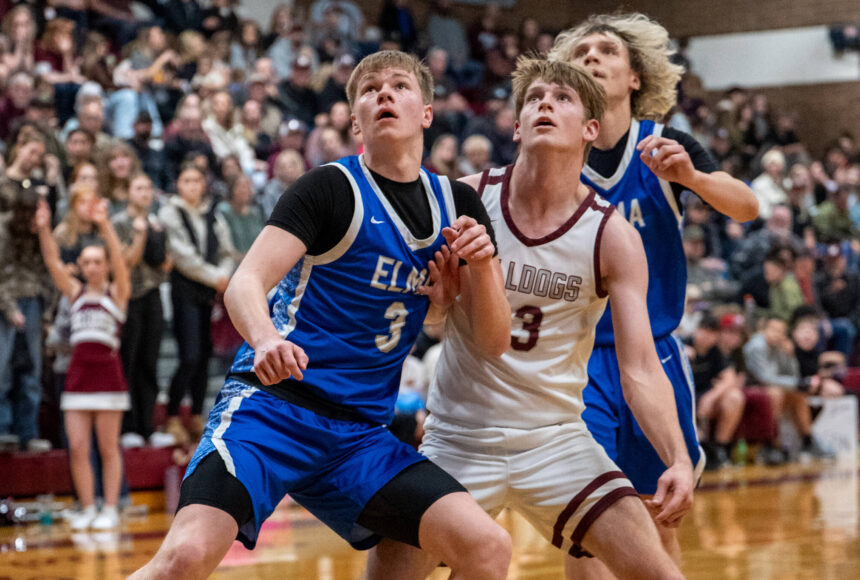 <p>PHOTO BY FOREST WORGUM Montesano&rsquo;s Carter Ames (middle) competes for a rebound against Elma&rsquo;s Isaac McGaffey (left) and Tanner Moe during the Bulldogs&rsquo; 57-45 over Elma in a 1A District 4 semifinal game on Tuesday at Montesano High School.</p>