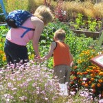 Master Gardner workshop scheduled