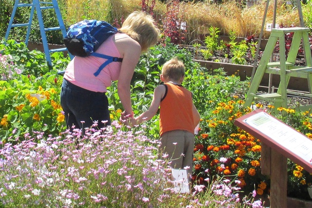 Master Gardner workshop scheduled