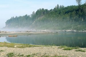 Plight of Quinault and other area tribes described by members