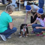 Woof-a-Thon big success