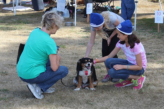 Woof-a-Thon big success