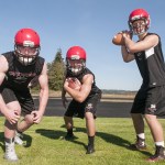 Gulls feature strong nucleus but young at other spots
