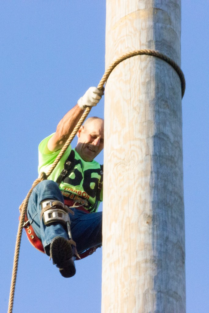 (Corey Morris | Grays Harbor Newspaper Group) Richard Glaves of Cle Elum works his way back down the pole after the local climb event at Loggers Playday on Sunday in Hoquian.