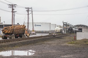 (File photo | The Daily World) Rail cars line up inside the entrance of Westway Terminals&rsquo; Port of Grays Harbor property last December. The company is interested in expanding its facility to handle crude oil shipments.